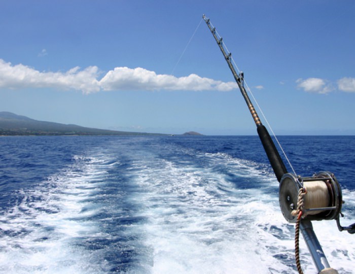 Рыбалка в открытом море - Пансионат «Сан-Марина»